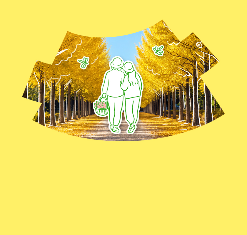 스테이풀무원 이벤트 쿠폰 6종 쿠폰팩+장보기 특가+스테이풀무원
