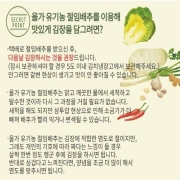 [산지직송] 남도식 김장세트(유기농 절임배추+양념소) (14.5kg)
