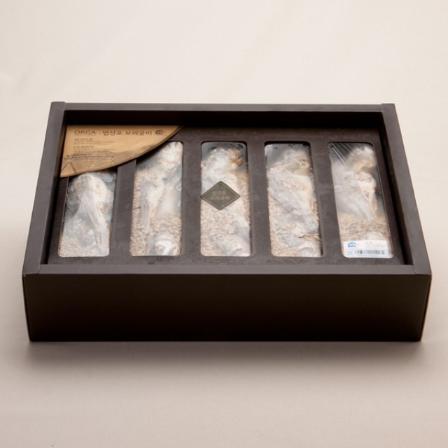 [산지직송] 법성포 보리 굴비 세트 (600g)