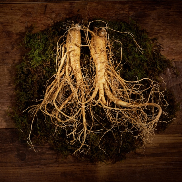 [산지직송]유기농 인삼 (500g)