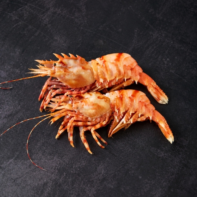[산지직송]독도 자연산 닭새우 500g(26~32미) (500g)