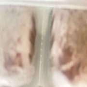 IMG_5884.jpeg