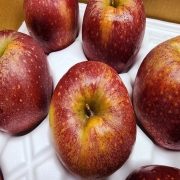 IMG_0007.jpeg