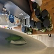 IMG_2100.jpeg