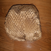 20250220_080113.jpg