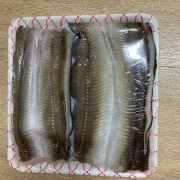IMG_0728.jpeg