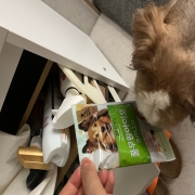 IMG_0583.jpeg