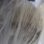20250610_204431.jpg