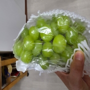20250807_065159.jpg