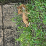 20250801_140726.jpg