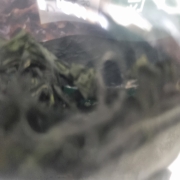 17564487701027842560624331917059.jpg
