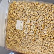 20250905_071902.jpg