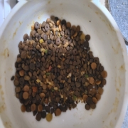 20250918_211619.jpg