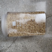 20251014_124512.jpg