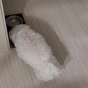KakaoTalk_20251020_093543591.jpg