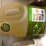 IMG_0550.jpeg