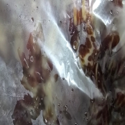 20251029_232238.jpg