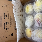 IMG_4895.jpeg