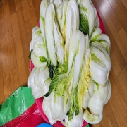 20251129_180146.jpg