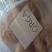 original_1765163936275.jpg