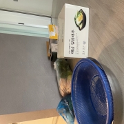 IMG_0457.jpeg