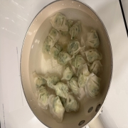 IMG_7996.jpeg