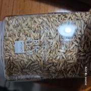 original_1769035766963.jpg