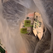 20260115_150442.jpg