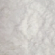 2026-01-24 14 02 51.jpg
