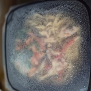 20260204_103104.jpg