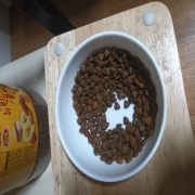 1000011821.jpg