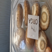 1000023891.jpg