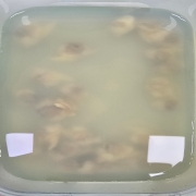 1000011221.jpg