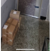 IMG_1098.jpeg