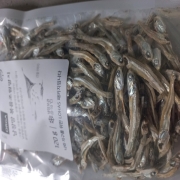 picked_1774509058621.jpg