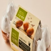 picked_1775029813699.jpg