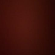 IMG_0761.jpeg