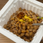 순생나또.jpeg