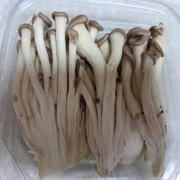 picked_1775476650210.jpg