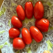 IMG_5412.jpeg