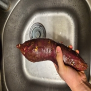 picked_1777458676193.jpg