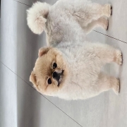 1000076784.jpg