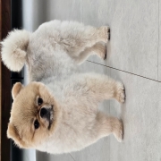 1000076787.jpg
