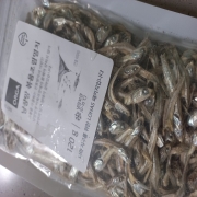 picked_1777871262257.jpg
