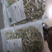 picked_1778306403648.jpg
