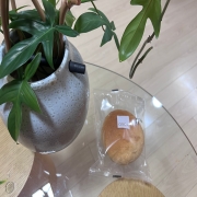 IMG_9962.jpeg