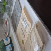 picked_1780103224129.jpg