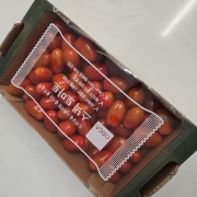 picked_1780132367877.jpg