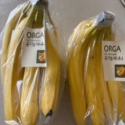 IMG_1497.jpeg