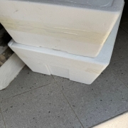 IMG_0197.jpeg